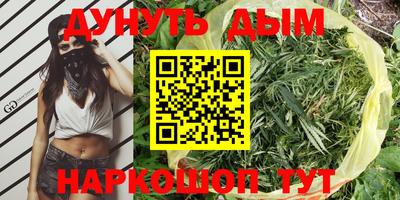 2c-b Новозыбков