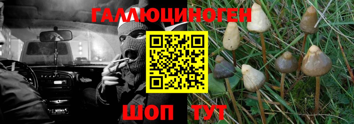 Галлюциногенные грибы мухоморы  Вход с VPN  Сорочинск 